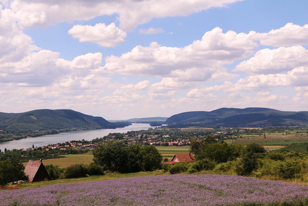 Natura Hill Panzio & Slow Food Fine Bistro Hotel Zebegény Kültér fotó